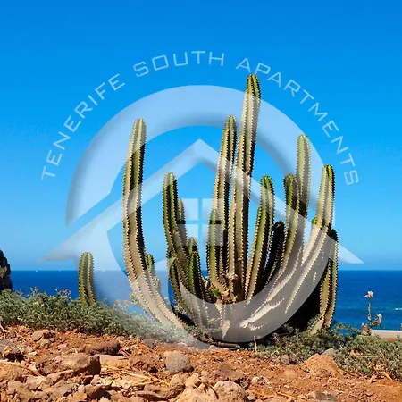 Americas Playa Apartment Playa de las Americas (Tenerife)